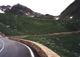 Col du Grand St Bernard 2001 - Klicka fr en strre version